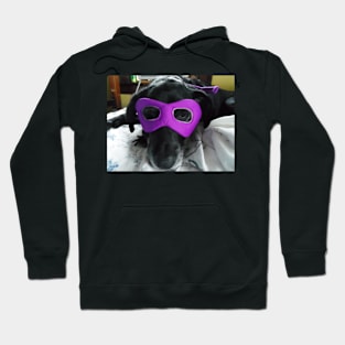 Super Puppy Hoodie